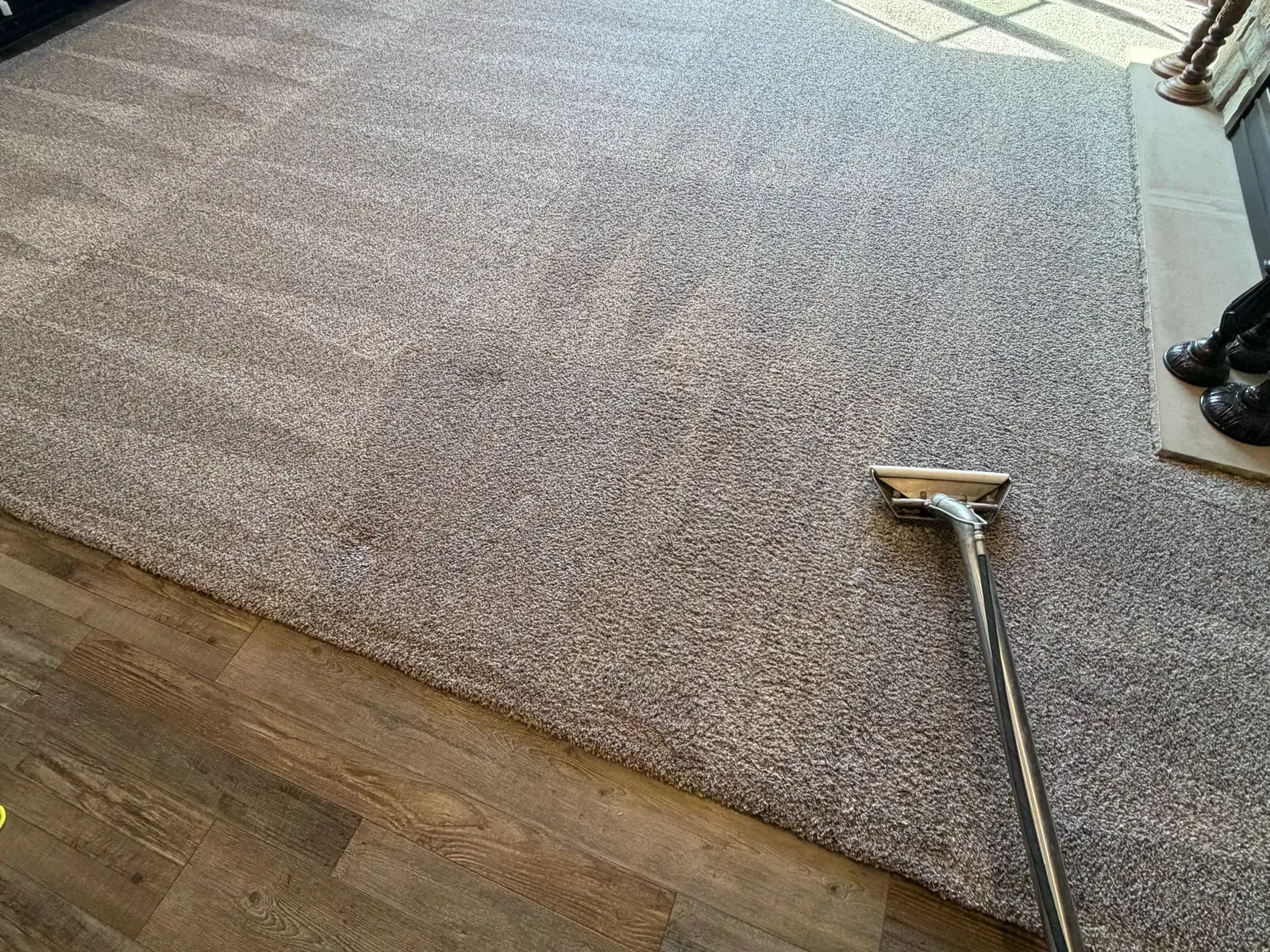 An extraction wand part-way across a living room carpet, cleaned carpet meeting the wood floor at the edge of the room.