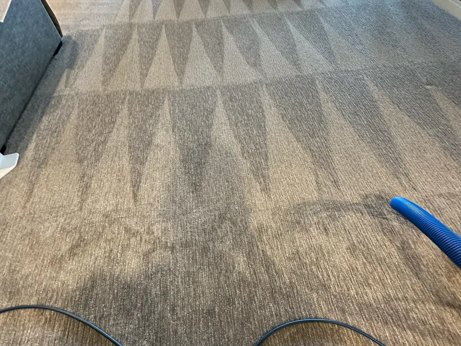 Carpet cleaning underway in an open-plan room, darker soiled areas still visible ahead of the cleaned section.