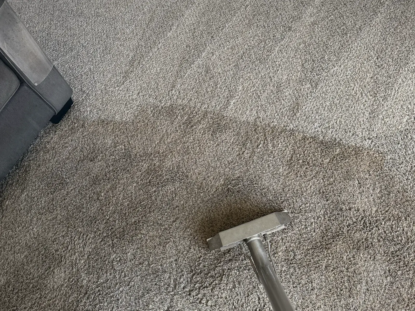 An extraction wand on a bedroom carpet, lighter cleaned carpet on one side of the line and darker soiled carpet on the other.