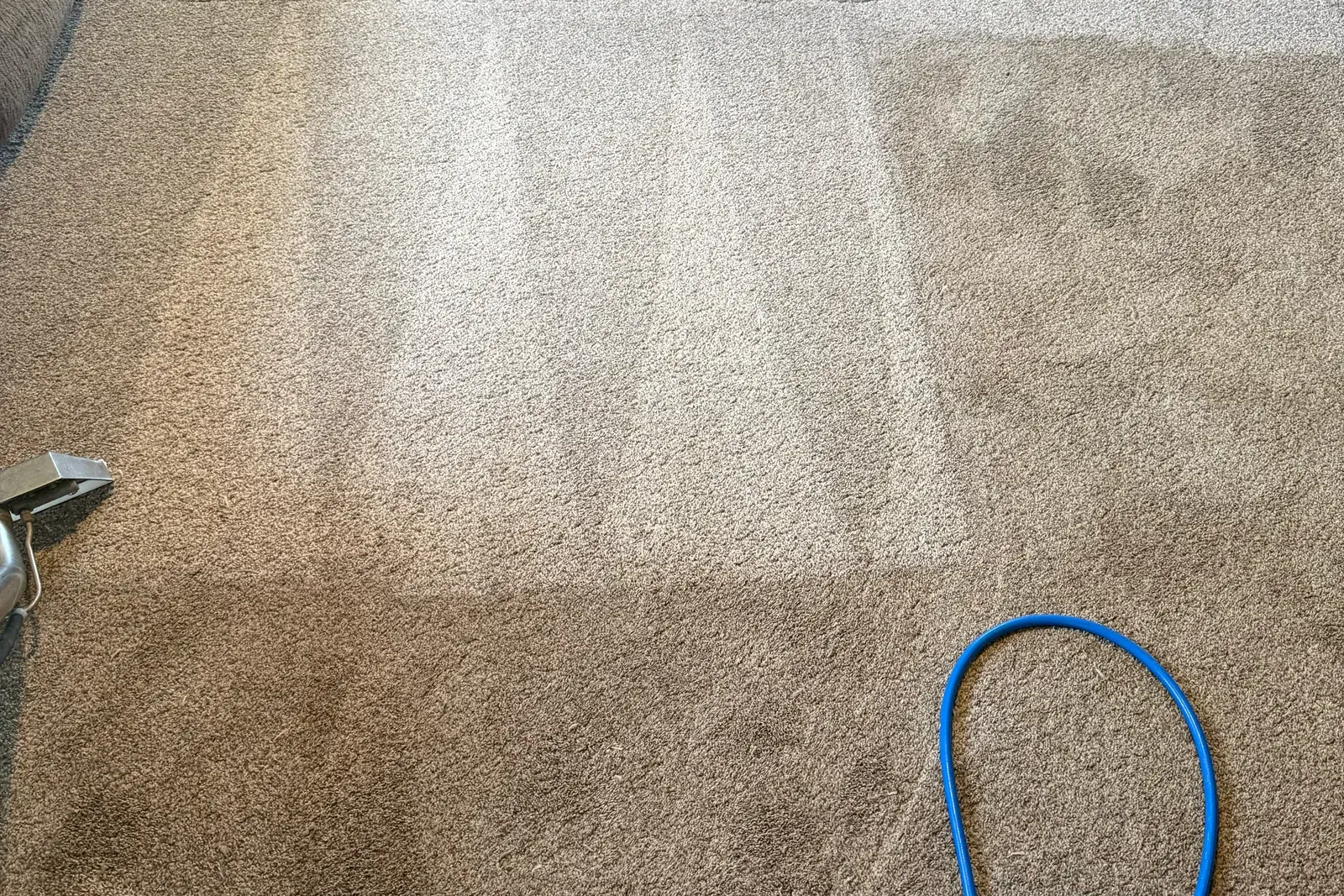 Living room carpet part-way through cleaning, with a clear line across the frame between the cleaned half and the still-soiled half.