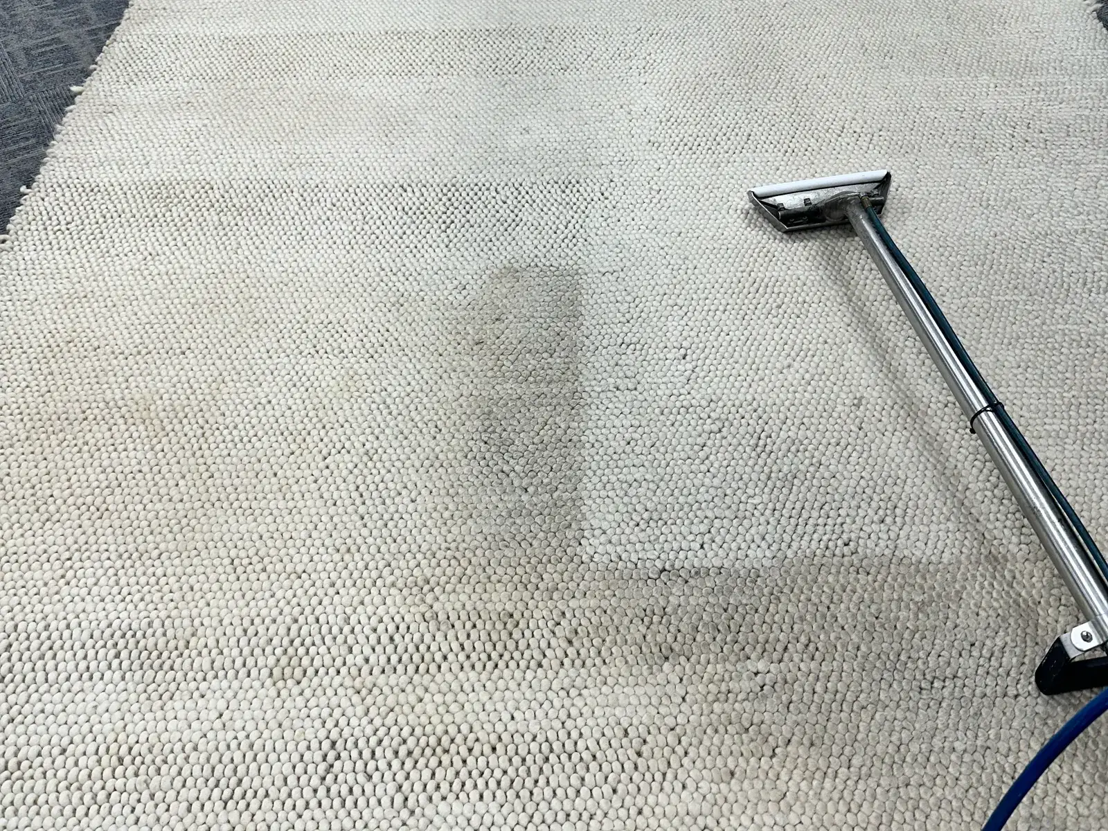 A cleaning wand on a cream wool area rug, a grey band of embedded soil still visible beside the cleaned section.