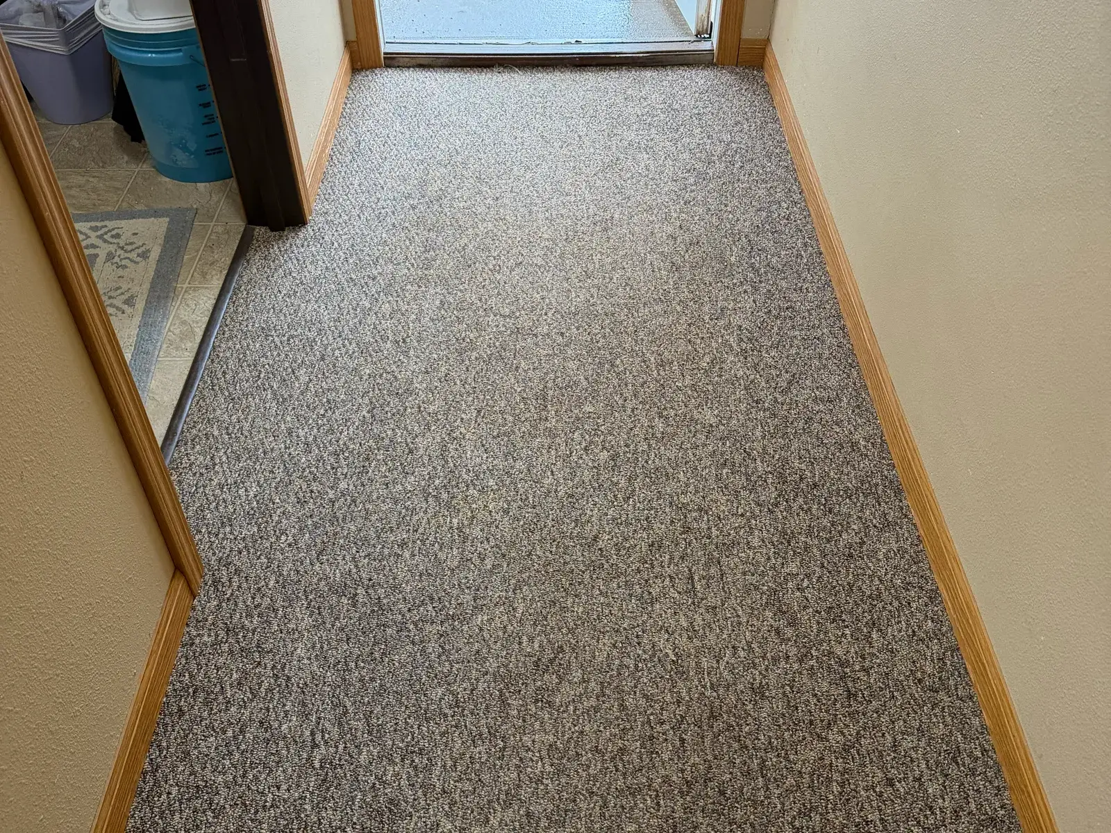 The same hallway after cleaning, the traffic patch gone and the carpet an even colour throughout.