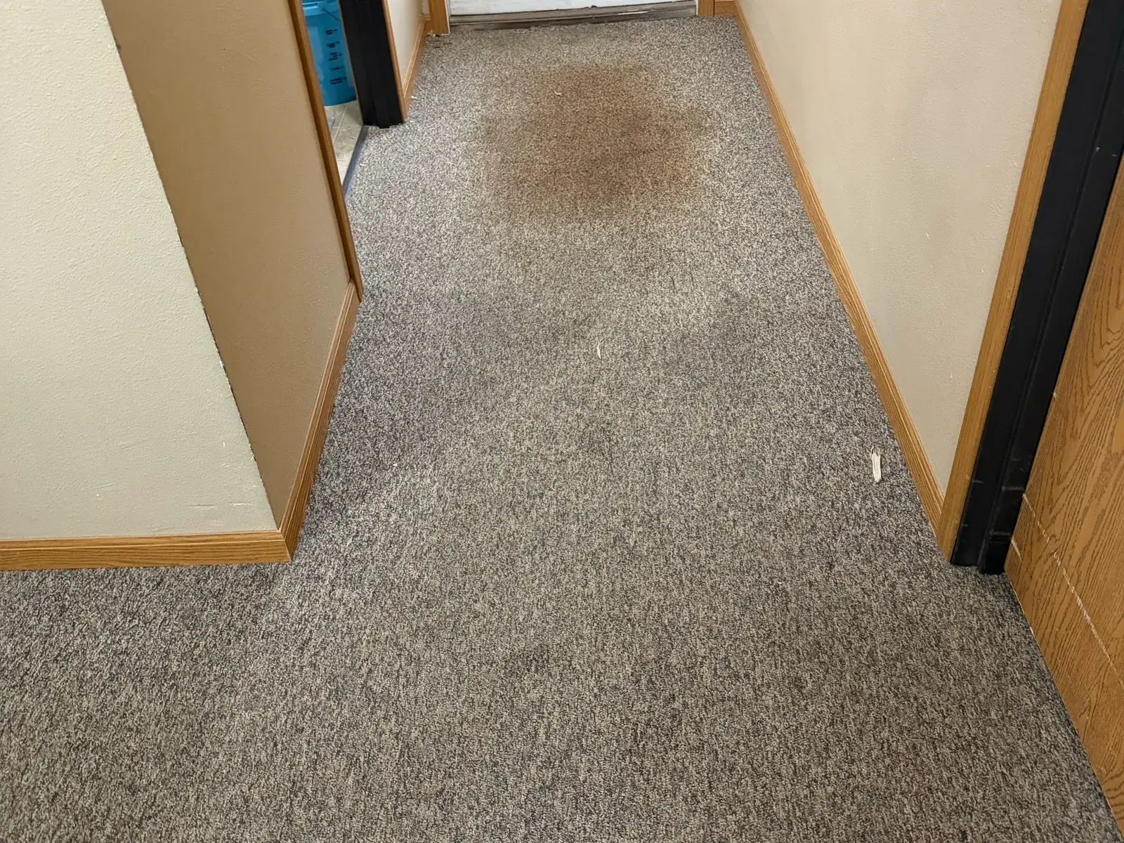 A hallway carpet before cleaning, with a dark worn traffic patch in front of the door.
